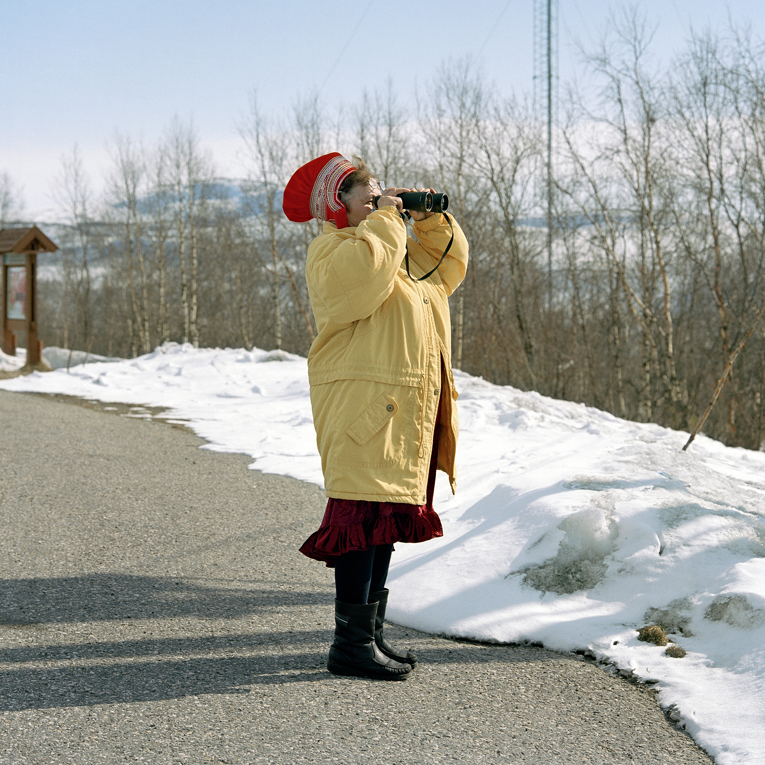 Looking for the lost reindeer, 2005