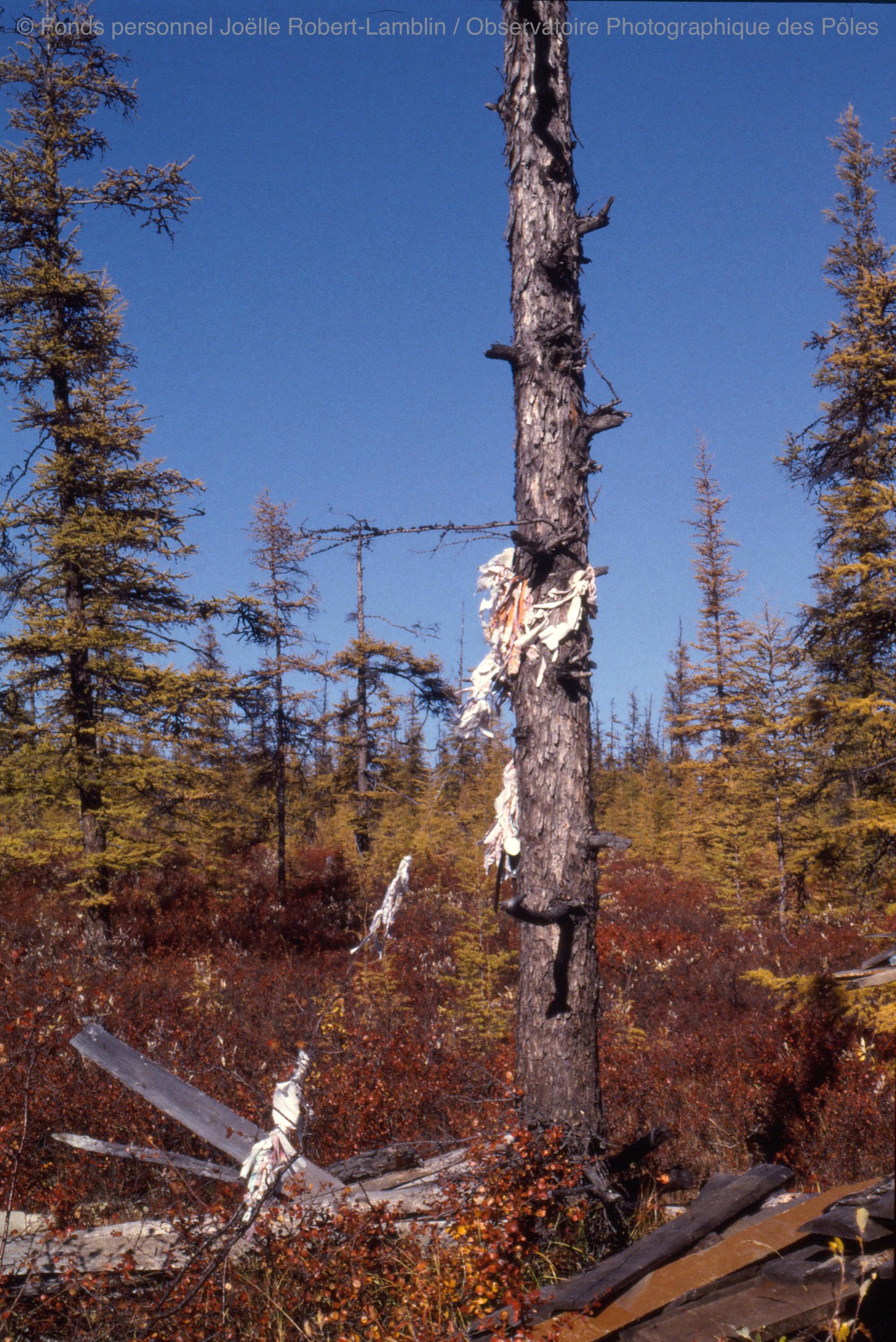 Sibérie 1997