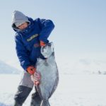 Uummannaq, Groenland, 2015