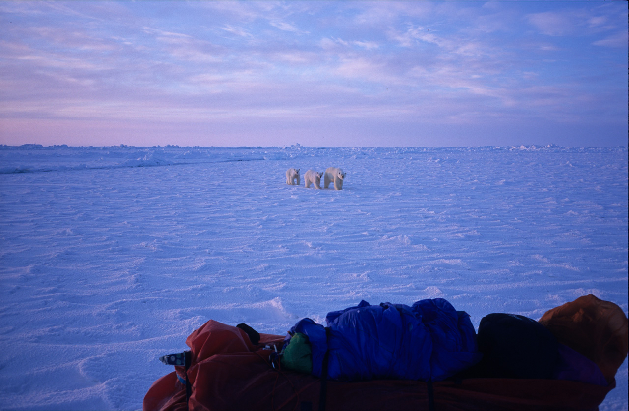 Traversée du pôle Nord en solo, 2001