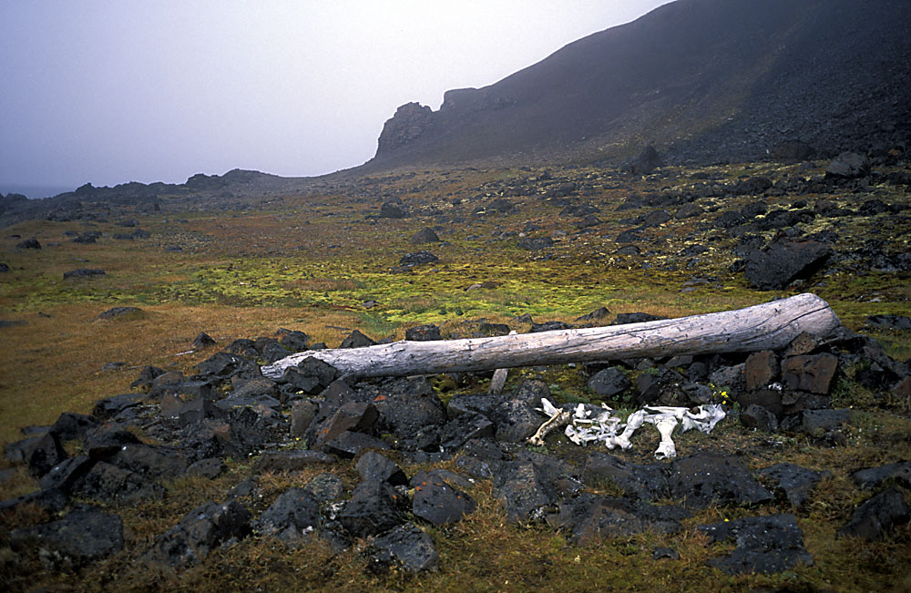 Franz Josef Land, 2004