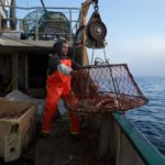 Snow crab fishing